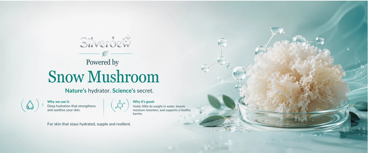 SilverDew skincare ad featuring a glass bowl filled with fluffy white snow mushroom extract on a light blue water-themed background with droplets and text reading 'Powered by Snow Mushroom'.