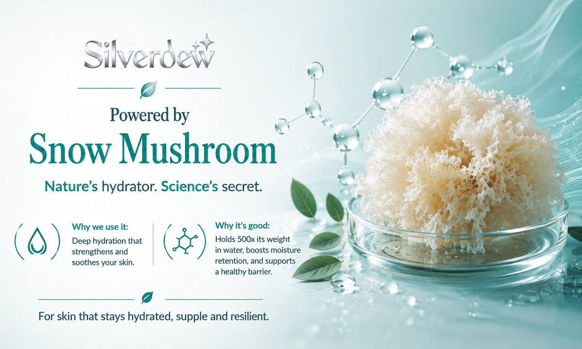 SilverDew skincare ad featuring a glass bowl filled with fluffy white snow mushroom extract on a light blue water-themed background with droplets and text reading 'Powered by Snow Mushroom'.